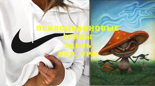 меф Козельск