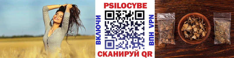Купить где  Асино  Псилоцибиновые грибы ЛСД 